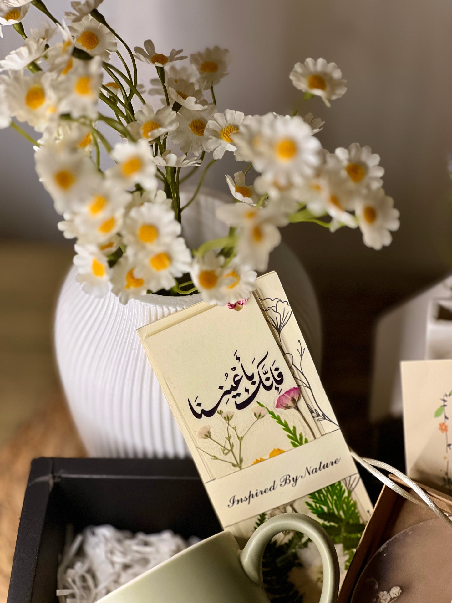 بكج القراءة