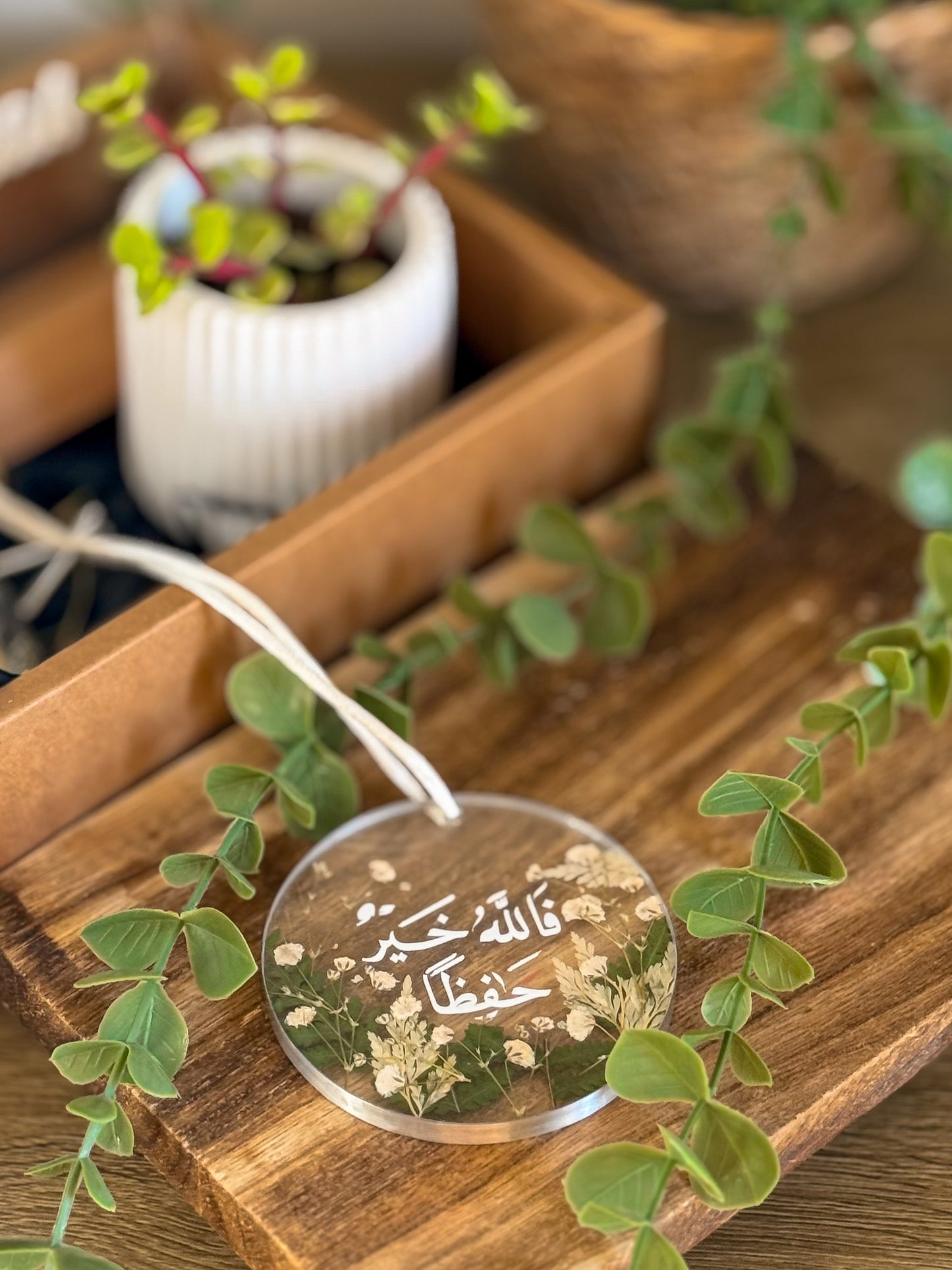 بكج العود الأخضر