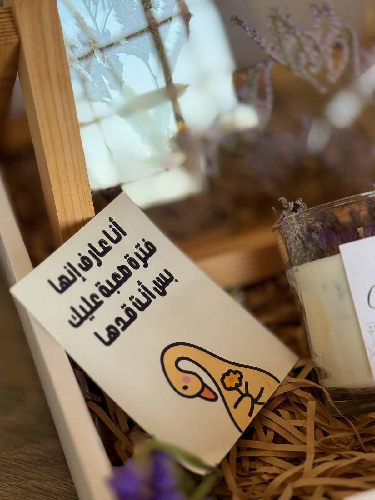بكج للافندر 2